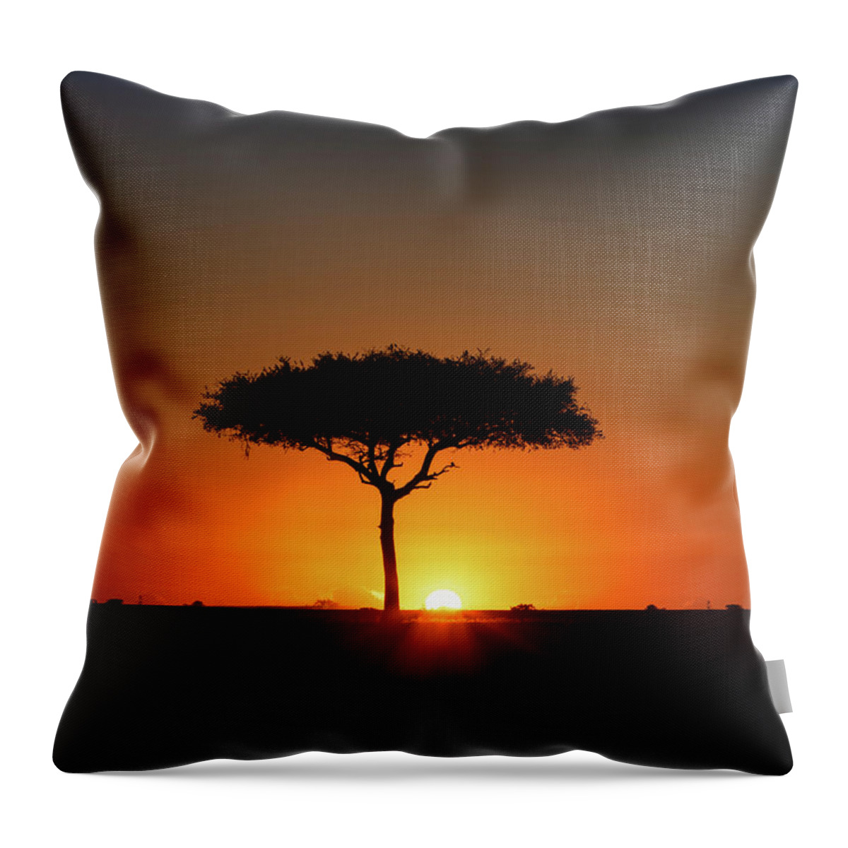 Sunset Throw Pillow featuring the photograph Single Acacia Tree on Horizon at Colorful Sunset by Good Focused