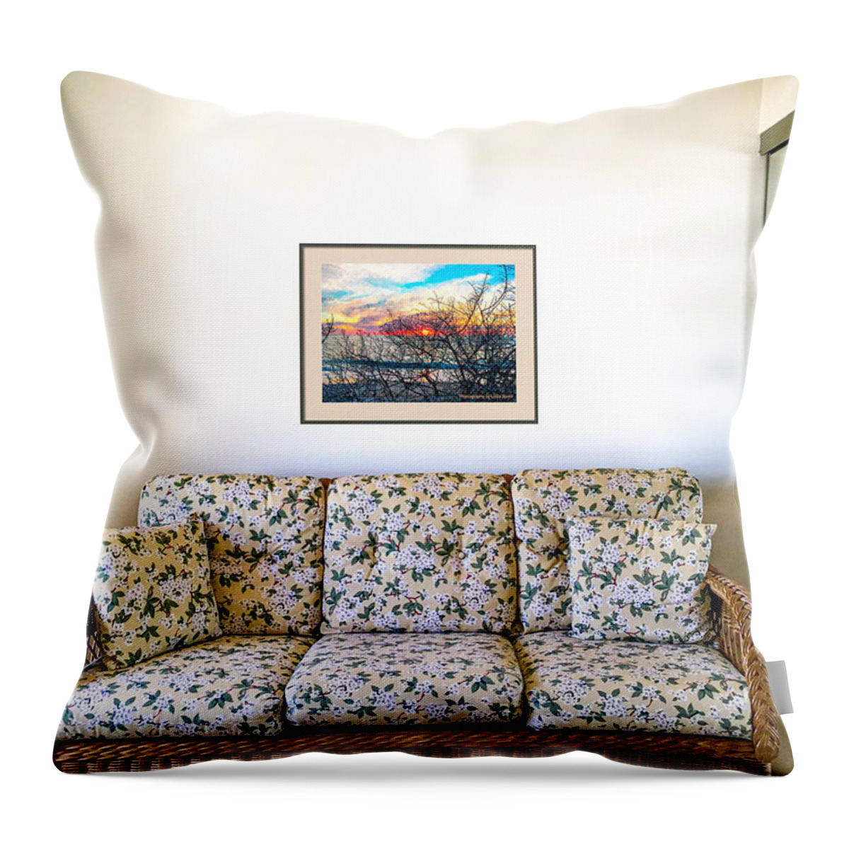 Hung Photo Example Throw Pillow featuring the photograph Single Branches photo framed in black with Tan Matte by Susan Molnar