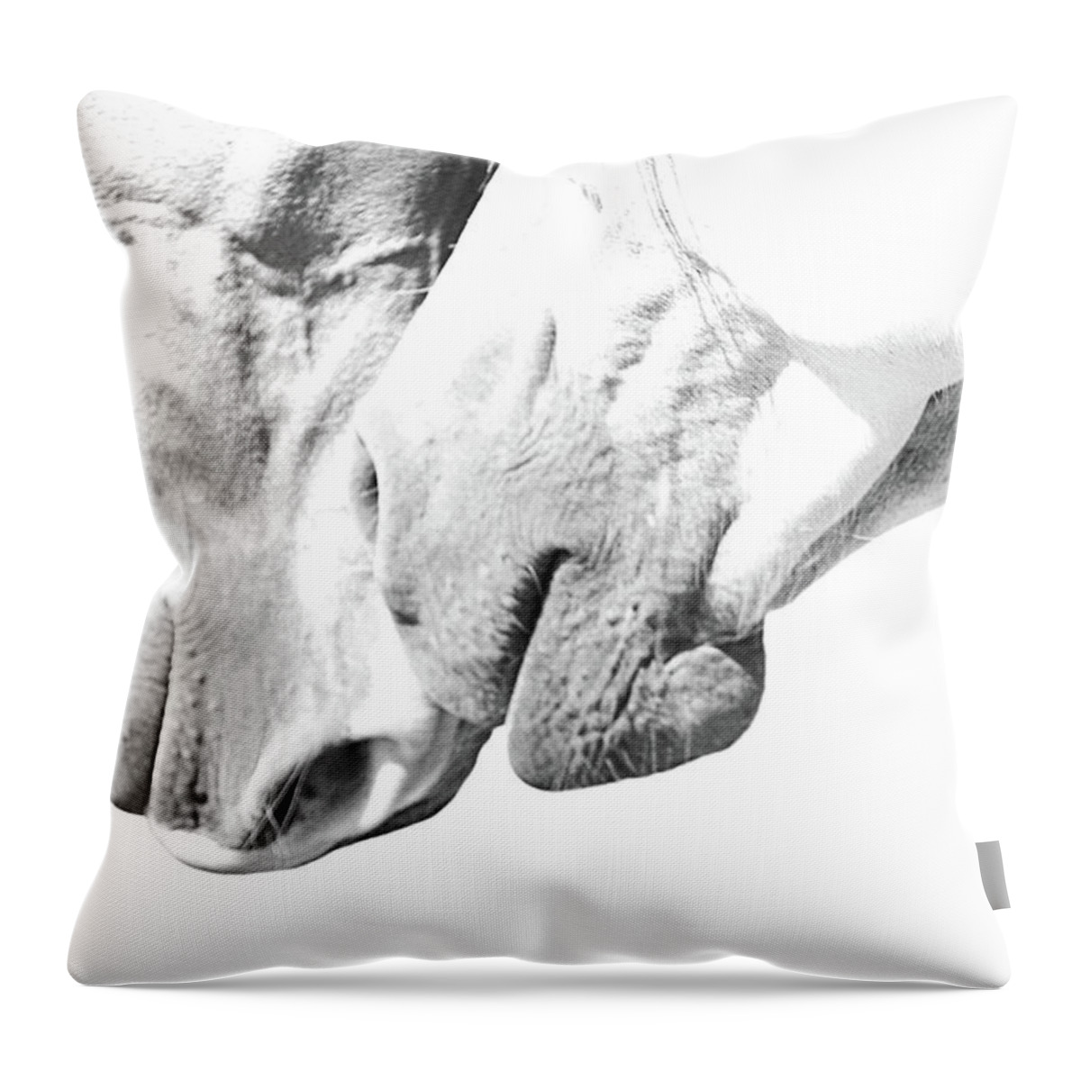Horses Throw Pillow featuring the photograph Sisters by M Kathleen Warren