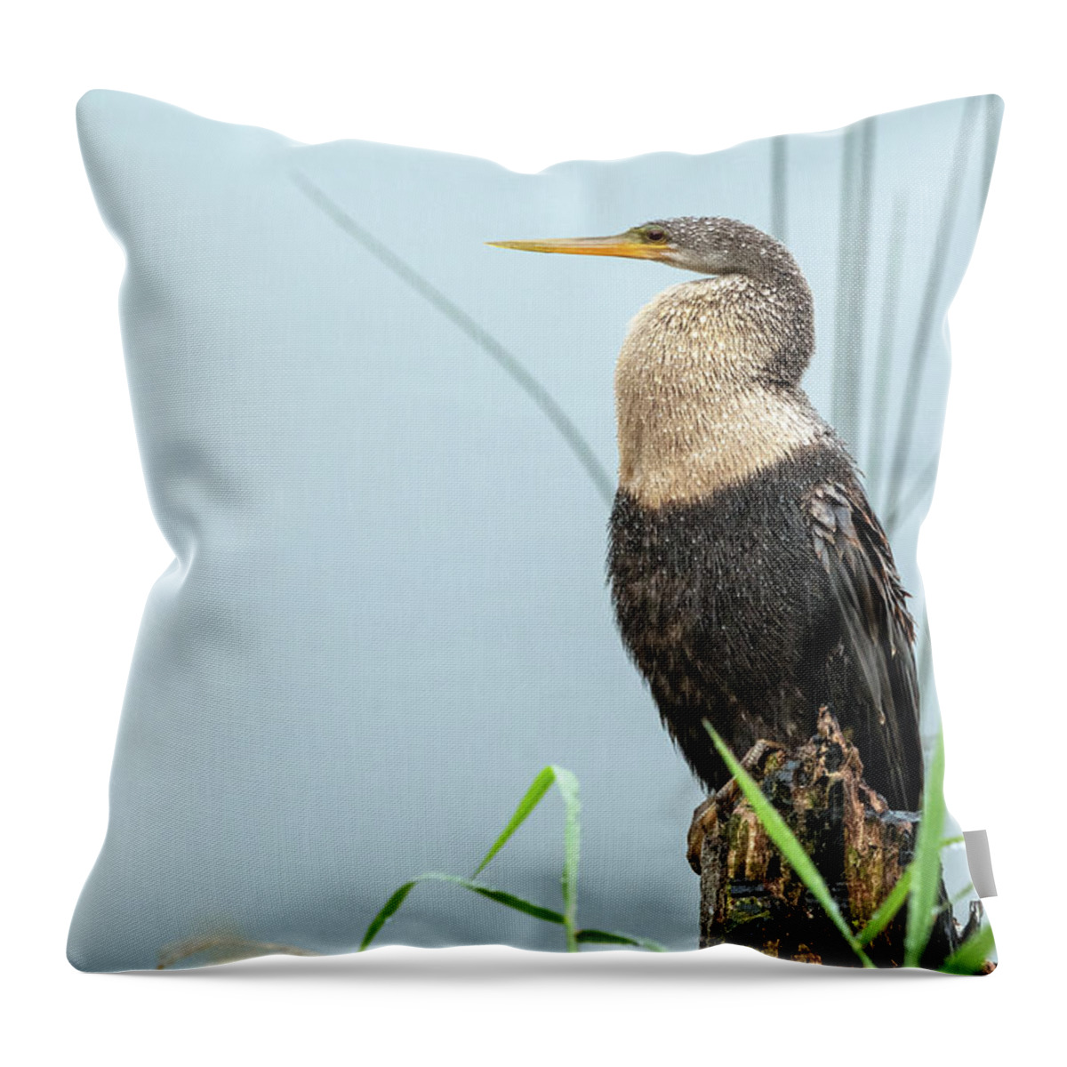 Bird Throw Pillow featuring the photograph Sittng in the Rain by Robert Carter