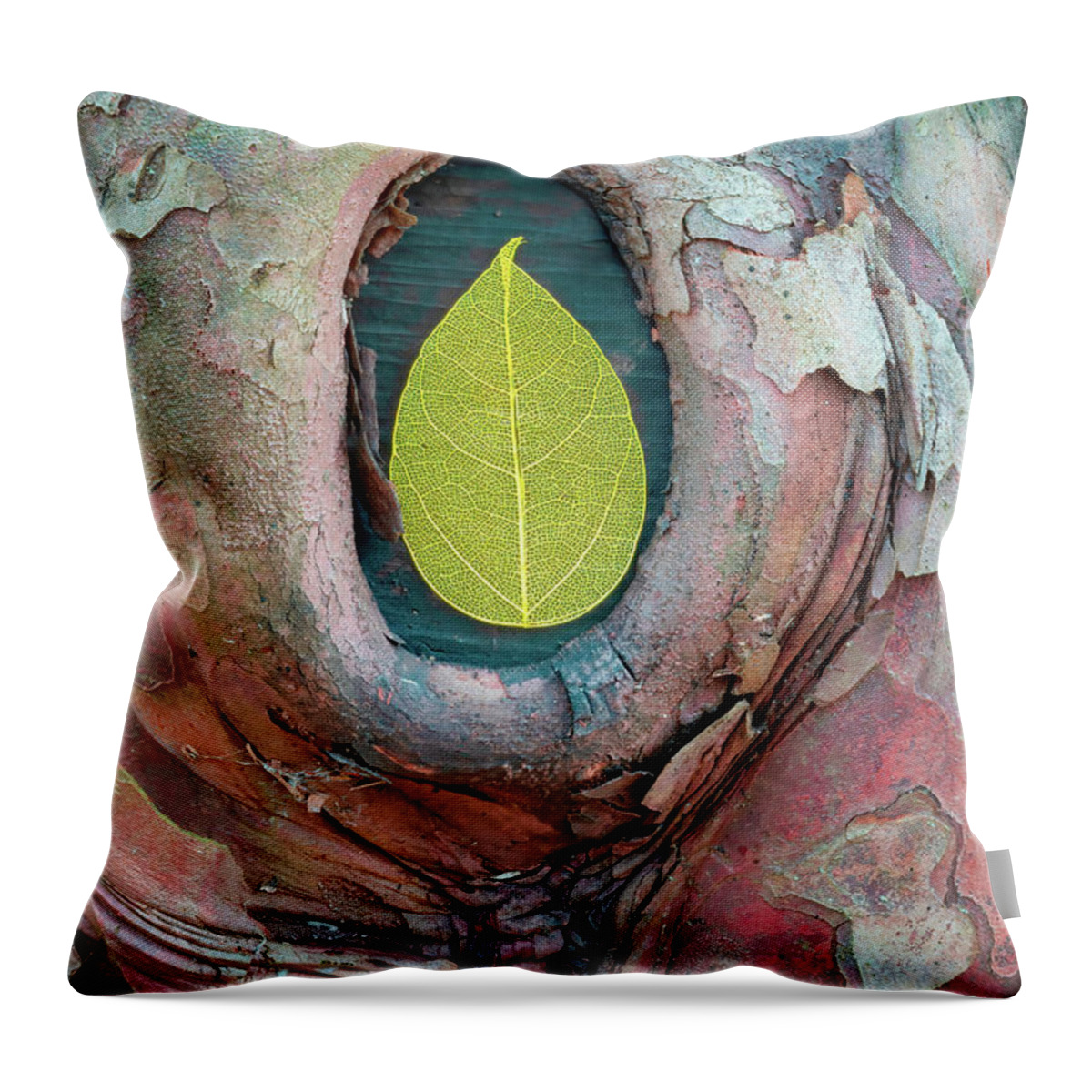 Skeleton Leaf Throw Pillow featuring the photograph Skeleton Leaf In Tree Bark by Gary Slawsky