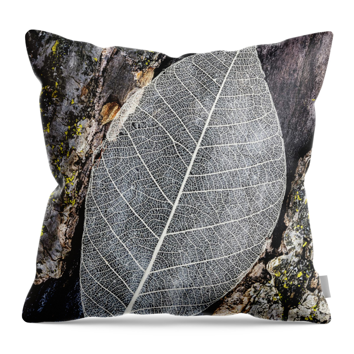 Skeleton Leaf Throw Pillow featuring the photograph Skeleton Leaf On Tree Trunk by Gary Slawsky