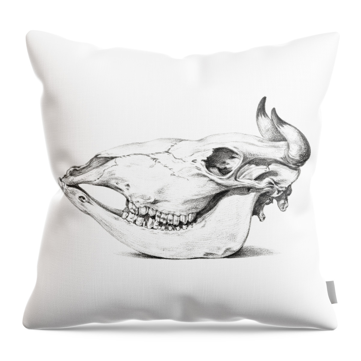 Skull Throw Pillow featuring the drawing Skull cattle horns vintage art old 1900 century hand painted illustration, skull by Mounir Khalfouf
