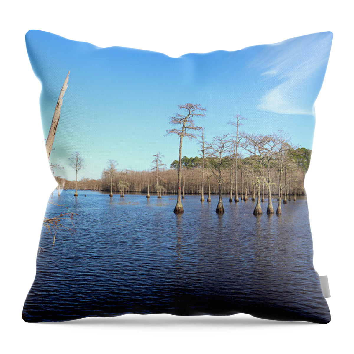 George L. Smith State Park Throw Pillow featuring the photograph Sky Pointer by Ed Williams
