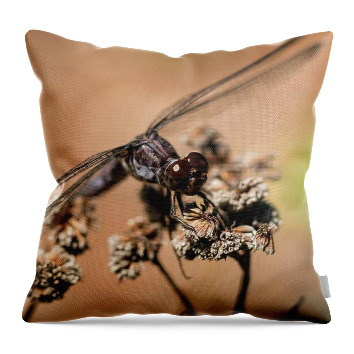 Dragonfly Throw Pillow featuring the photograph Slaty Skimmer Watching You by Liza Eckardt