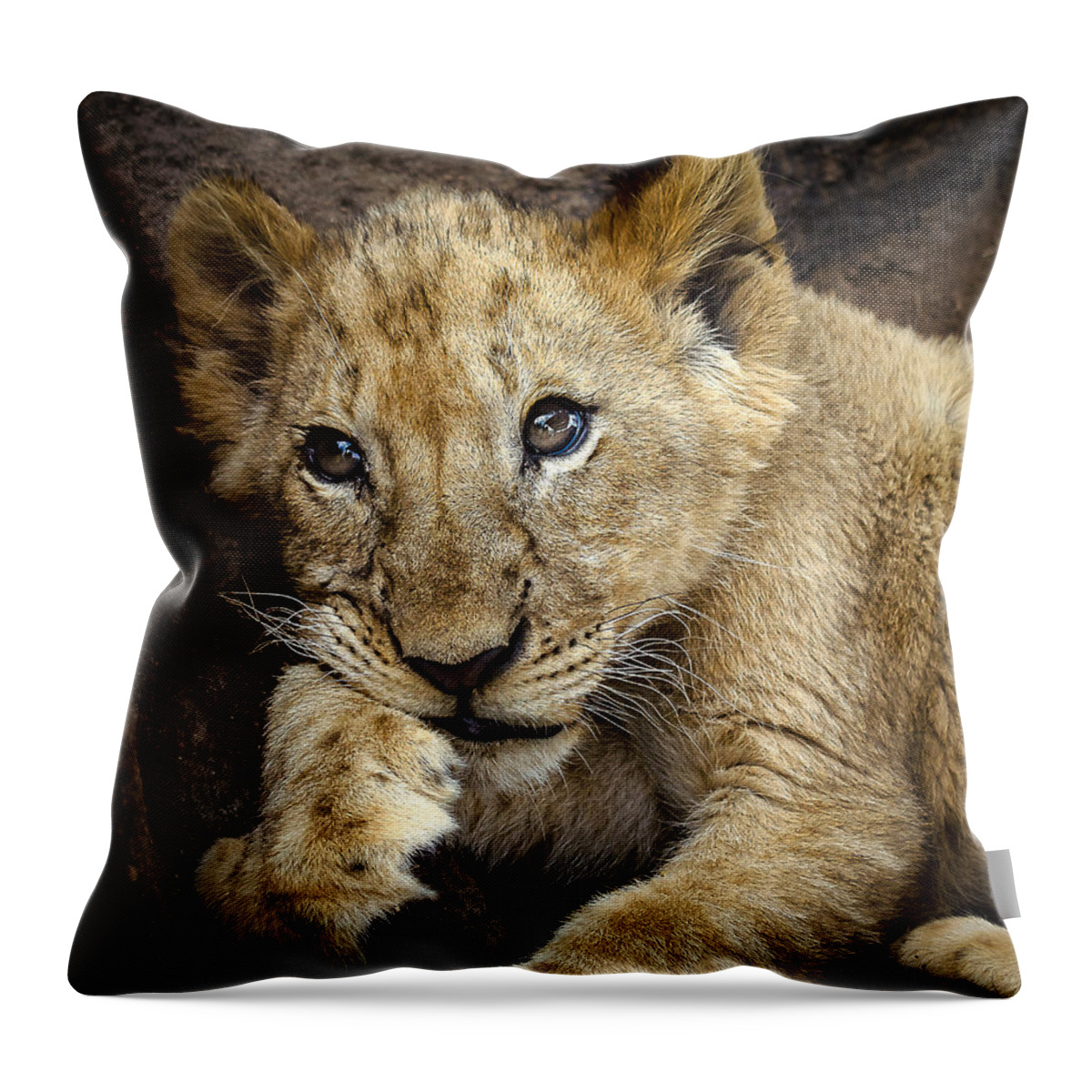 Lion Throw Pillow featuring the photograph Sleepy Lion Cub by Linda Villers