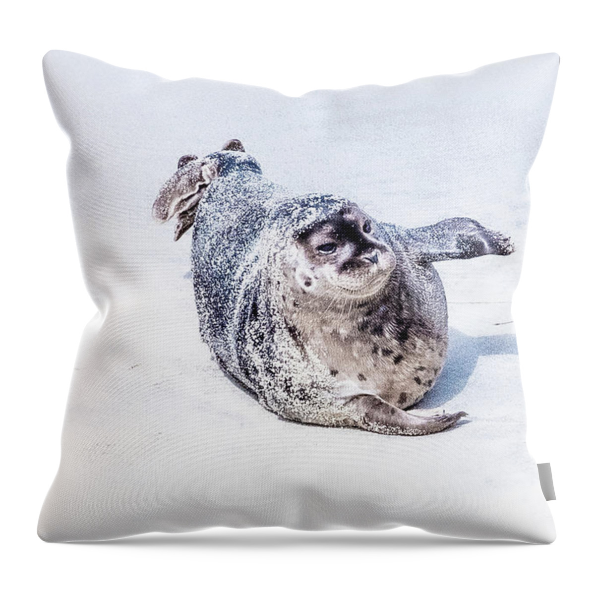 2019 Throw Pillow featuring the photograph Slip and Slide by Erin K Images