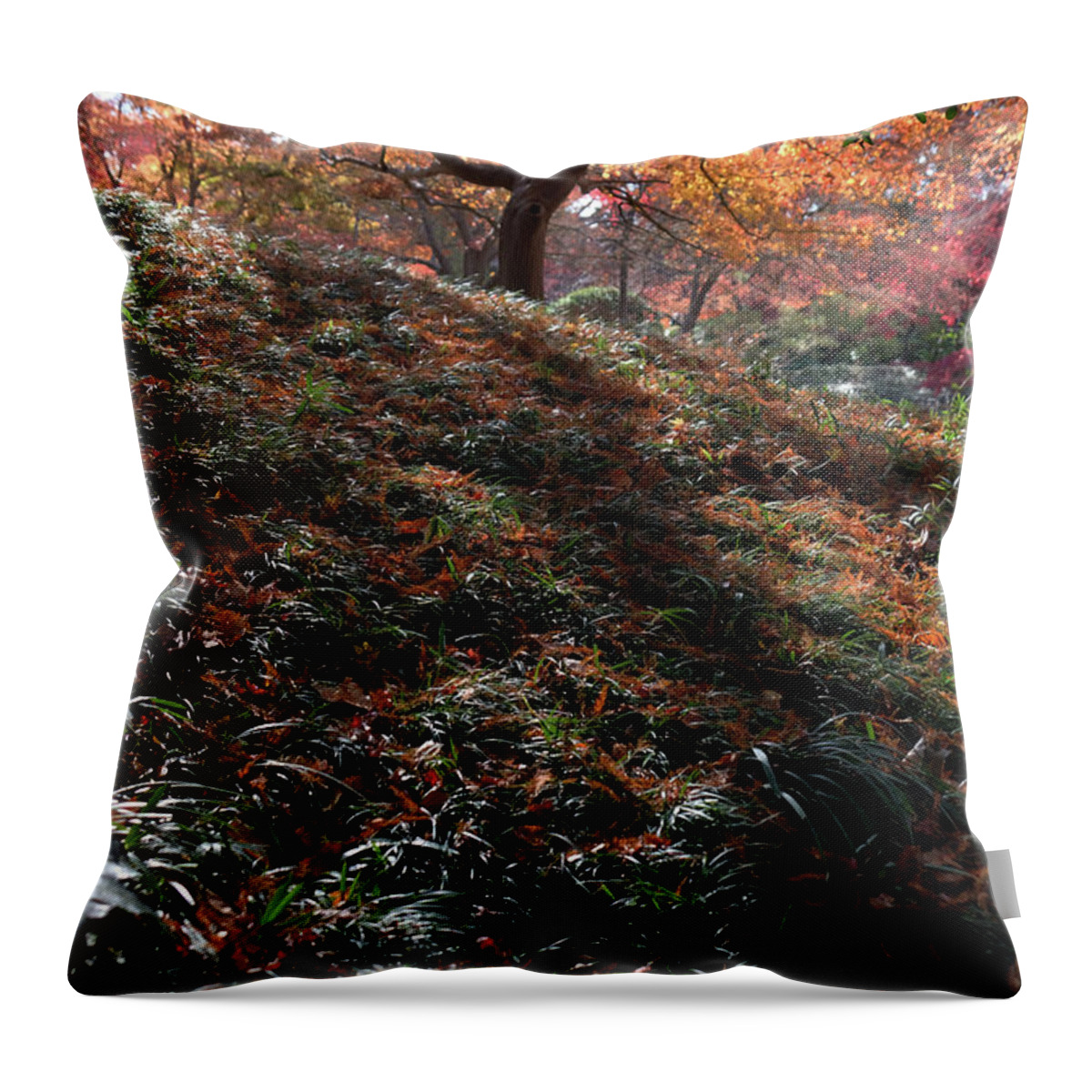 Autumn Throw Pillow featuring the photograph Slippery Slope by Ricardo J Ruiz de Porras