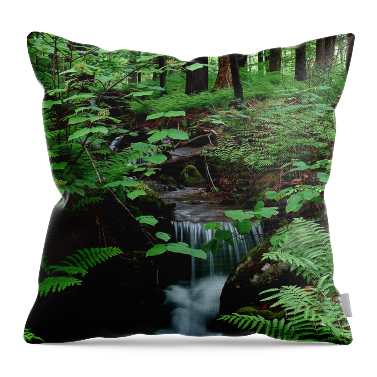 Spring Throw Pillow featuring the photograph Small stream and ferns by Kevin Shields