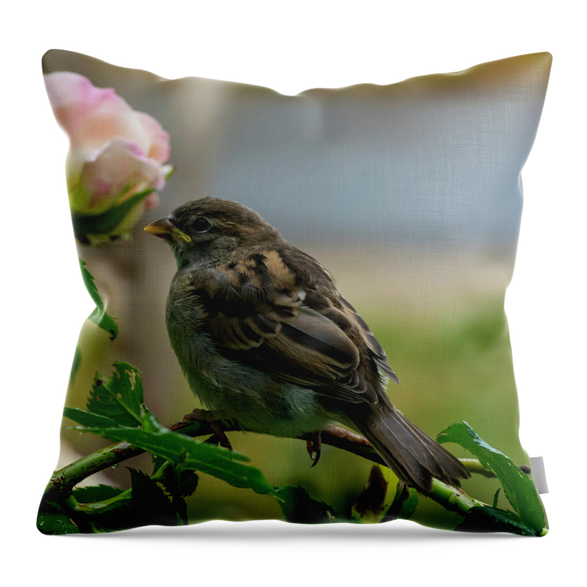 Bird Throw Pillow featuring the photograph Smell The Roses by Cathy Kovarik