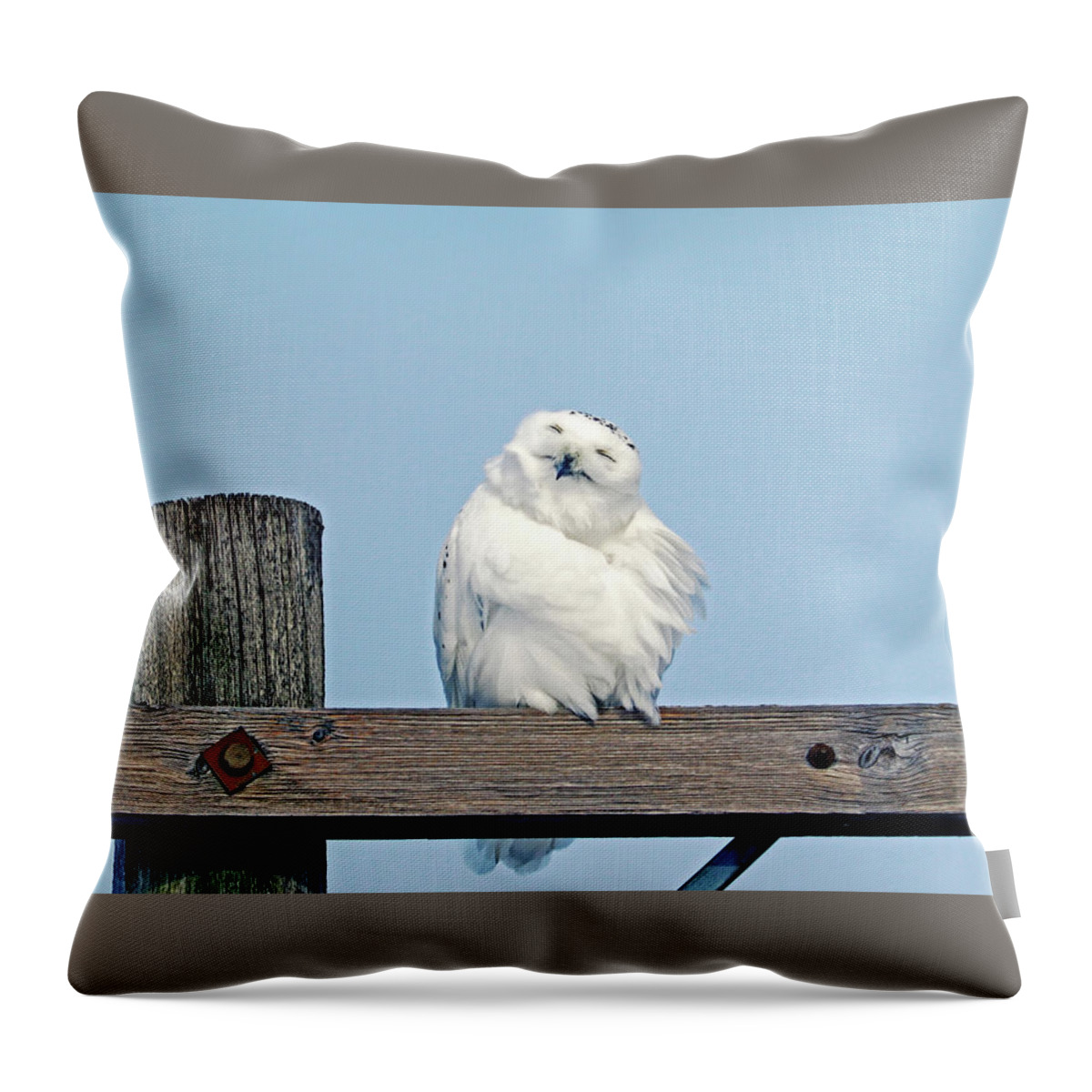 Snowy Owl Throw Pillow featuring the photograph Smile With Your Face To The Sun by Debbie Oppermann