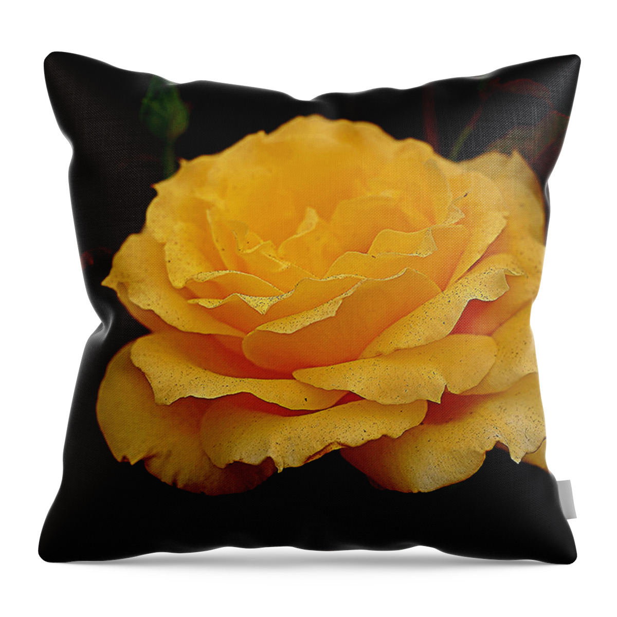 Botanical Throw Pillow featuring the photograph Smokey Yellow Rose by Richard Thomas