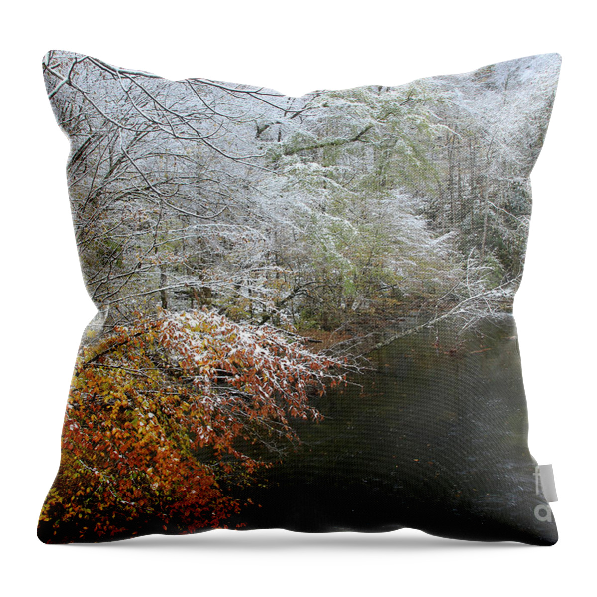 Winter Scene Throw Pillow featuring the photograph Smoky Mountain November Snow 2 by Mike Eingle