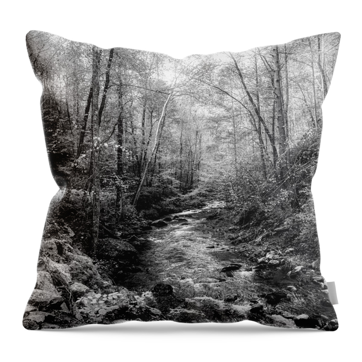 Cades Throw Pillow featuring the photograph Smoky Mountains Country Streams in Black and White by Debra and Dave Vanderlaan