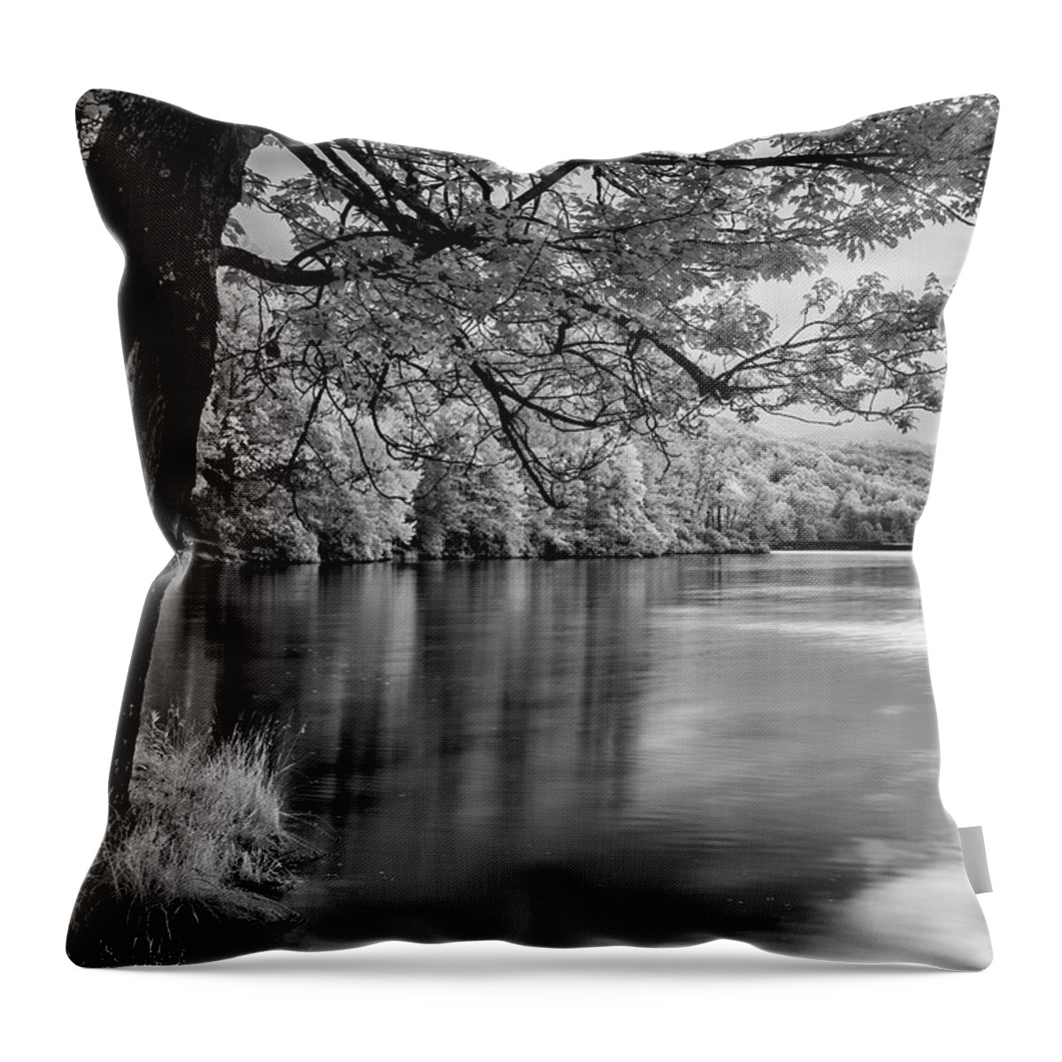 North Carolina Throw Pillow featuring the photograph Smooth Waters on the Lake bw by Dan Carmichael