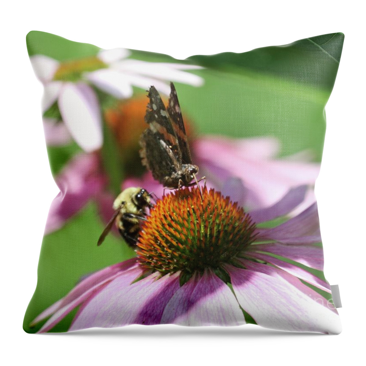 Flower Throw Pillow featuring the photograph Snacktime for a Bee and a Butterfly by Patricia Youngquist
