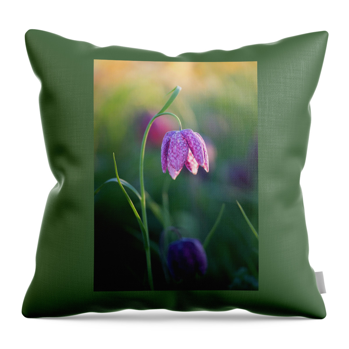 Meadow Throw Pillow featuring the photograph Snake's Head Fritillary by Anita Nicholson