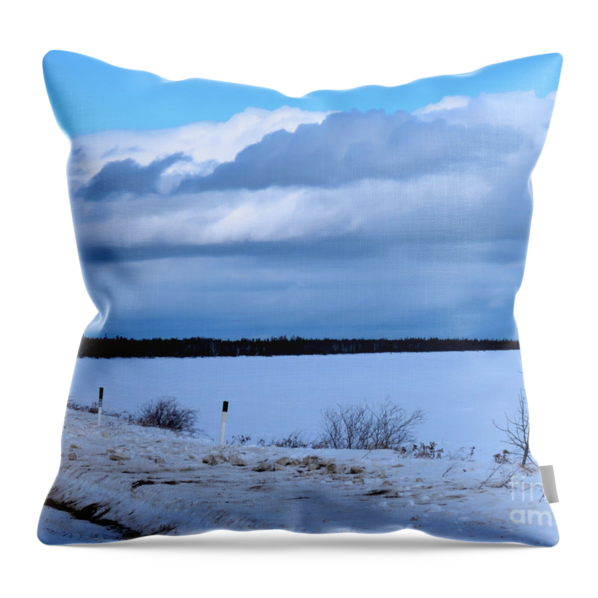 Canada Throw Pillow featuring the photograph Snow a Coming by Mary Mikawoz