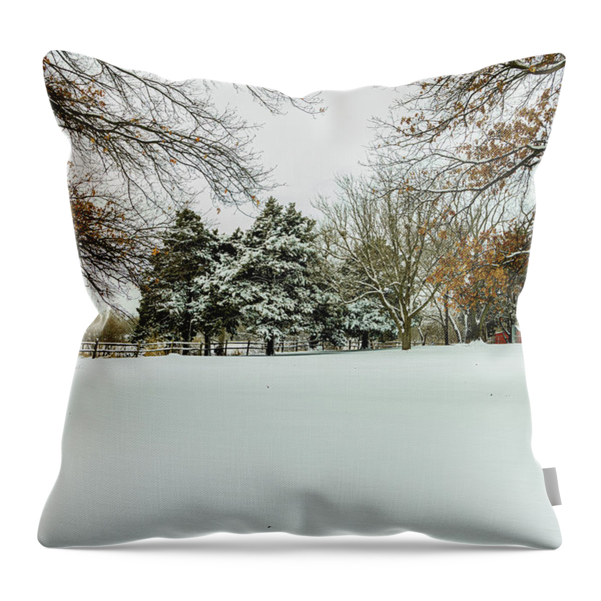 Jay Stockhaus Throw Pillow featuring the photograph Snow at the Farm by Jay Stockhaus
