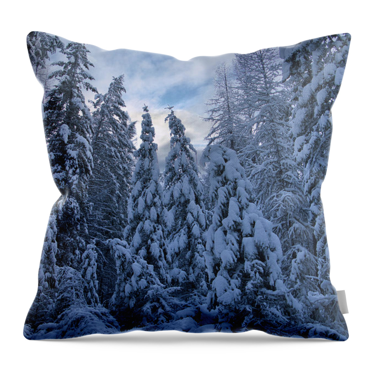 Snow Throw Pillow featuring the photograph Snow capped by Thomas Nay