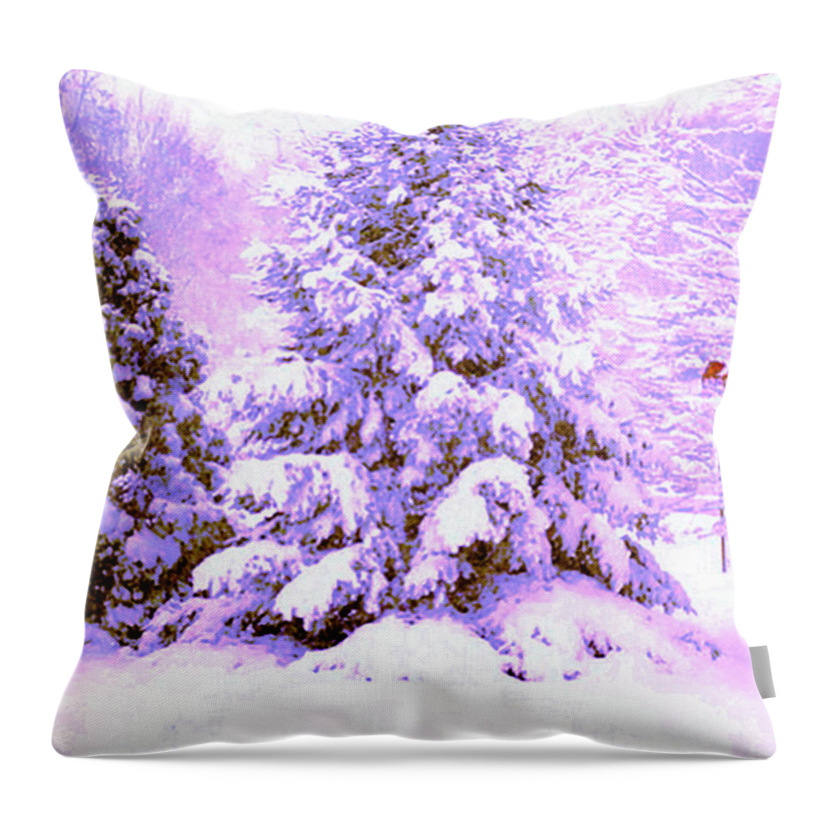 Winter Throw Pillow featuring the photograph Snow by CHAZ Daugherty