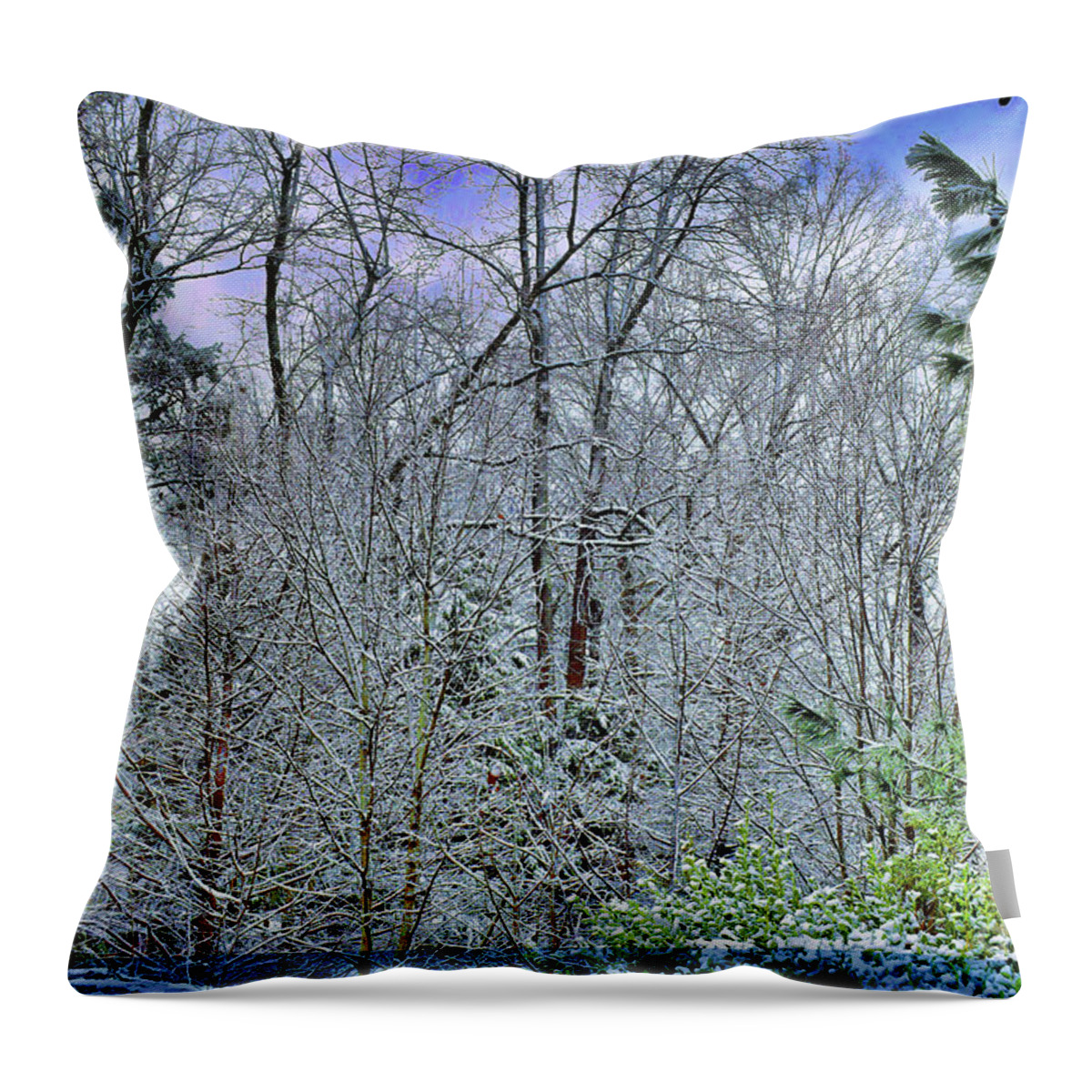 Forest Throw Pillow featuring the photograph Snow Covered Forest by Roberta Byram