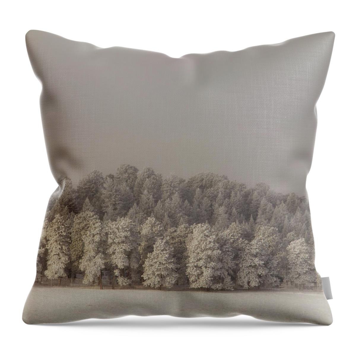 Snow Throw Pillow featuring the photograph Snow Covered Trees by Kevin Schwalbe