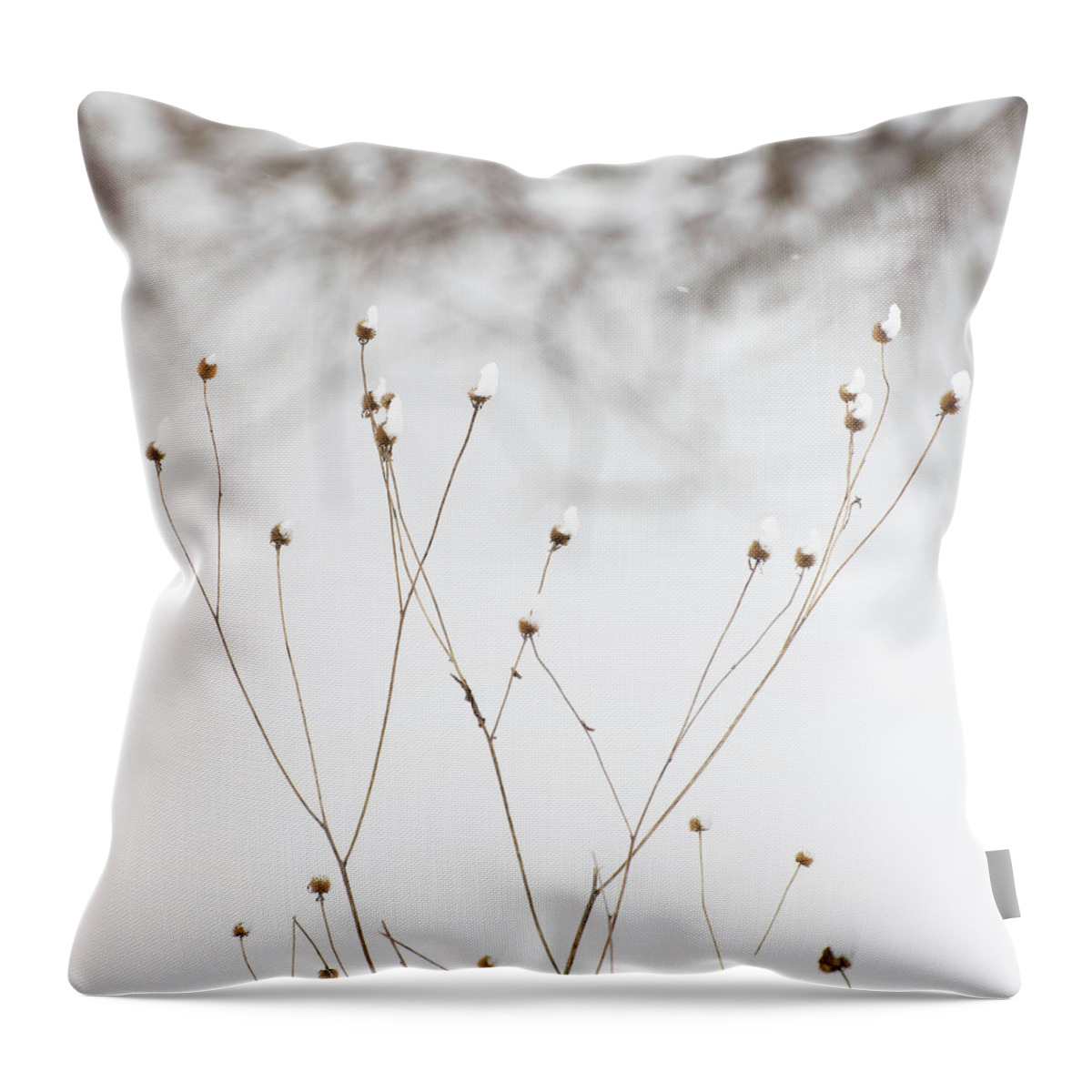 Winter Throw Pillow featuring the photograph Snow Day Caps by Forest Floor Photography