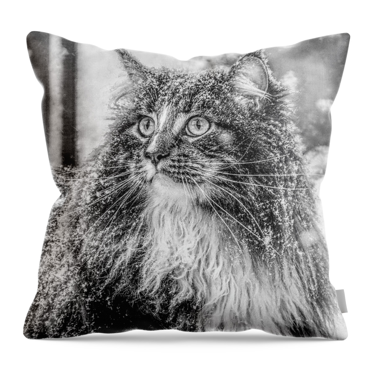 Cat Throw Pillow featuring the photograph Snow experience 3 by Jaroslav Buna