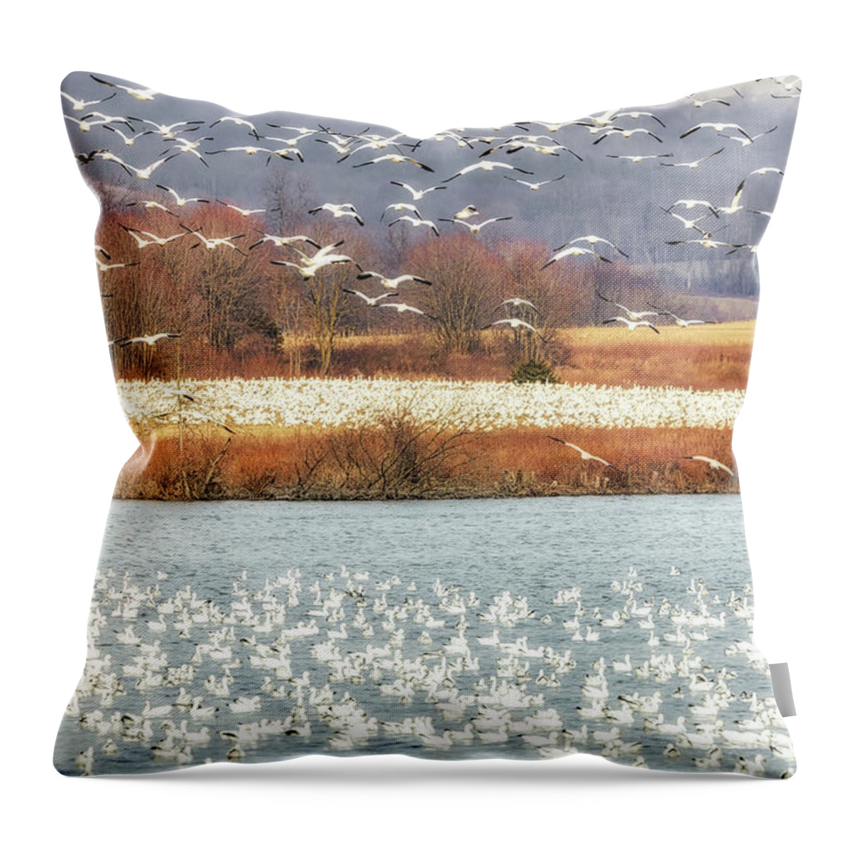 Snow Geese Throw Pillow featuring the photograph Snow Geese Migration by Susan Candelario