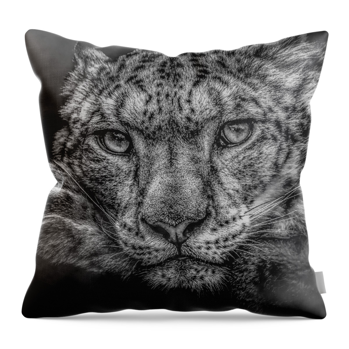Snow Throw Pillow featuring the photograph Snow Leopard in the fog by Chris Boulton