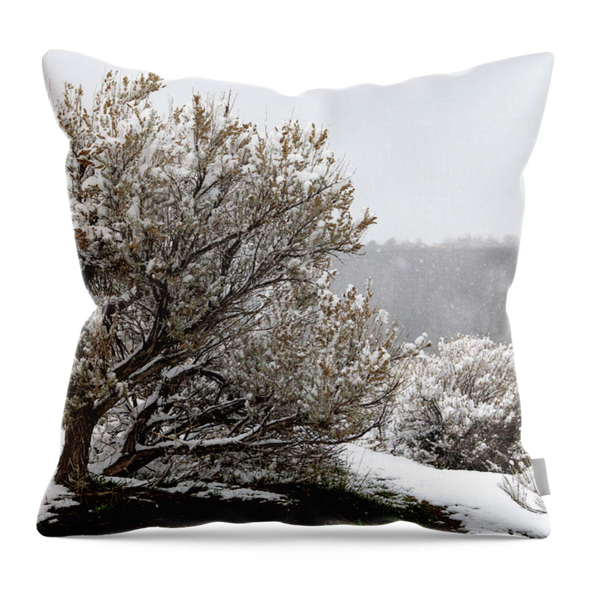 Snow Throw Pillow featuring the photograph Snow on Sage by Diane Bohna