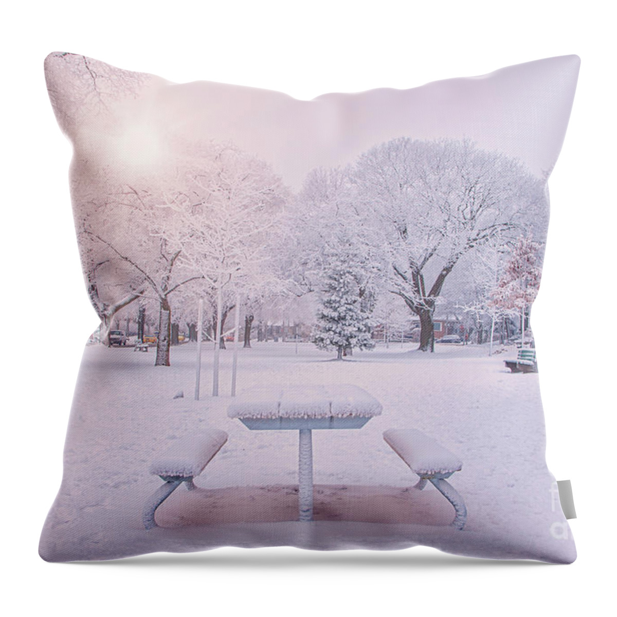 Snow Throw Pillow featuring the photograph Snow Park With Sun Light by Charline Xia