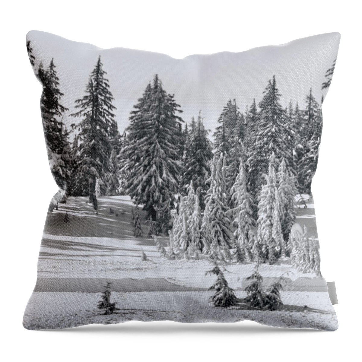 Black And White Pines Throw Pillow featuring the photograph Snow Pines Black and White by Cathy Anderson