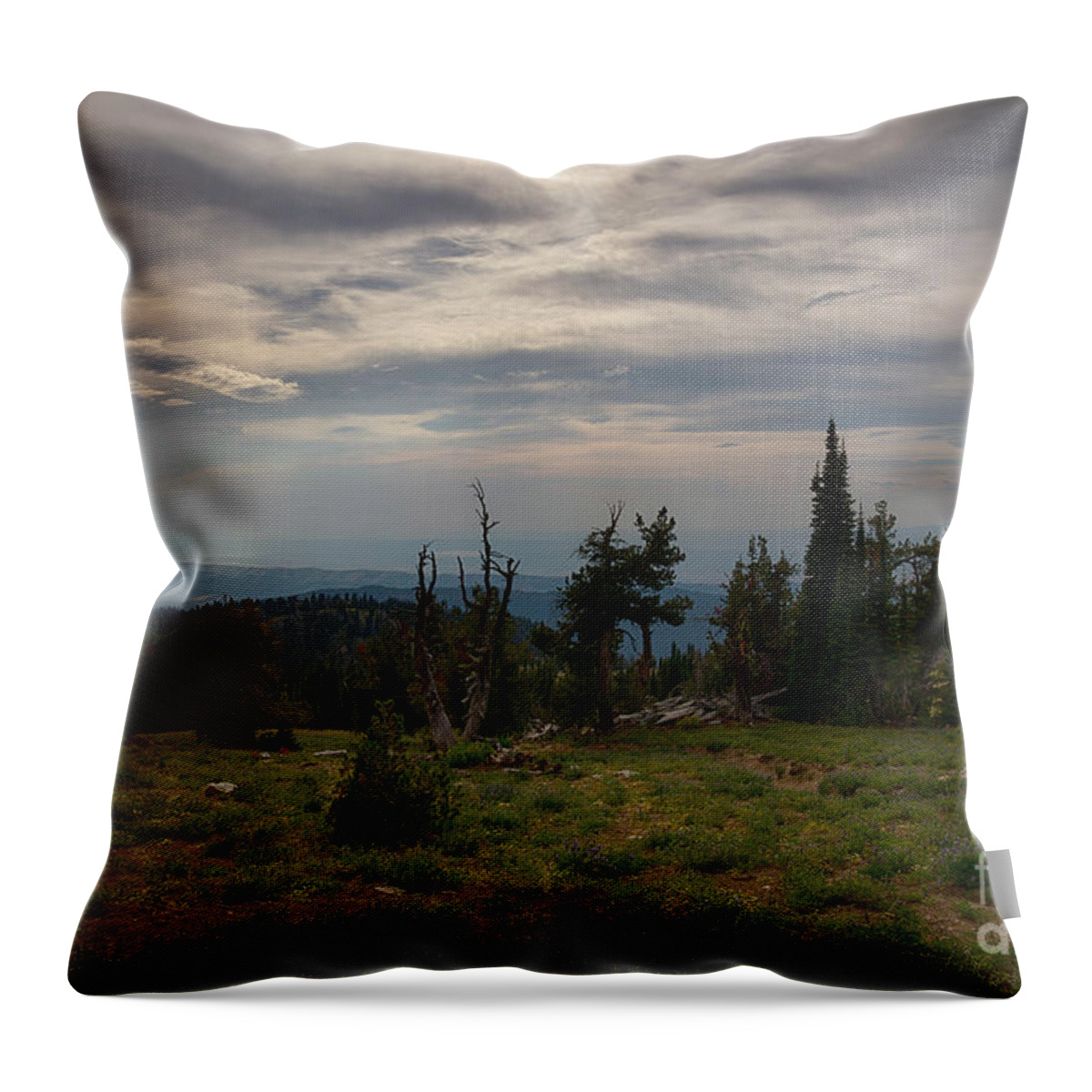 August Throw Pillow featuring the photograph Snowbank Afternoon by Idaho Scenic Images Linda Lantzy