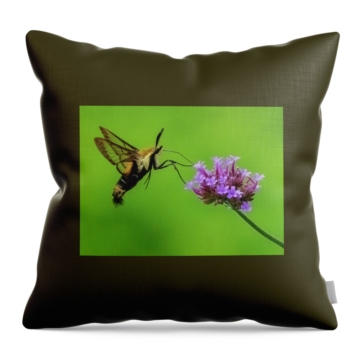 Hummingbird Moth Throw Pillow featuring the photograph Snowberry Hummingbird Moth by William Jobes
