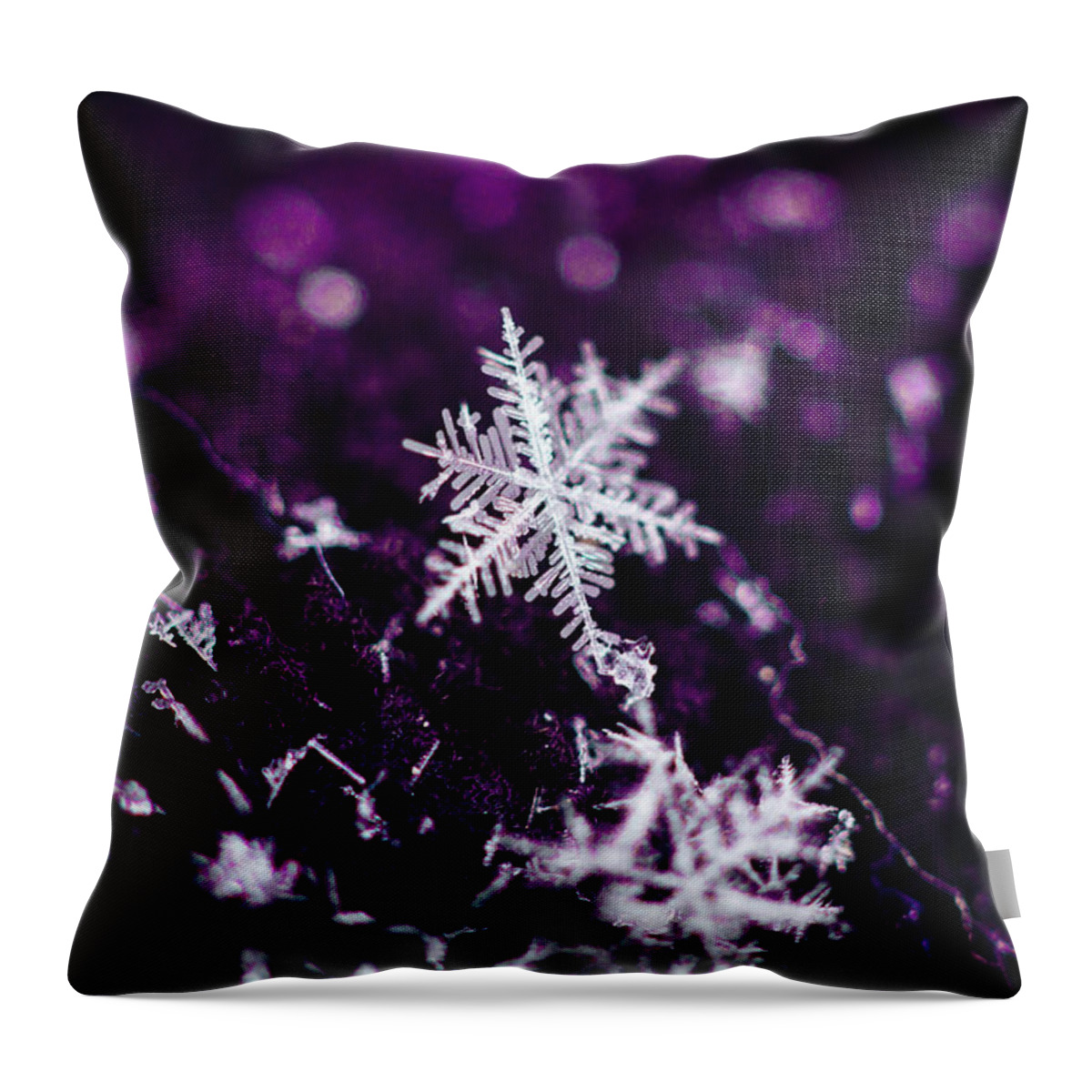  Throw Pillow featuring the photograph Snowflake beauty by Nicole Engstrom