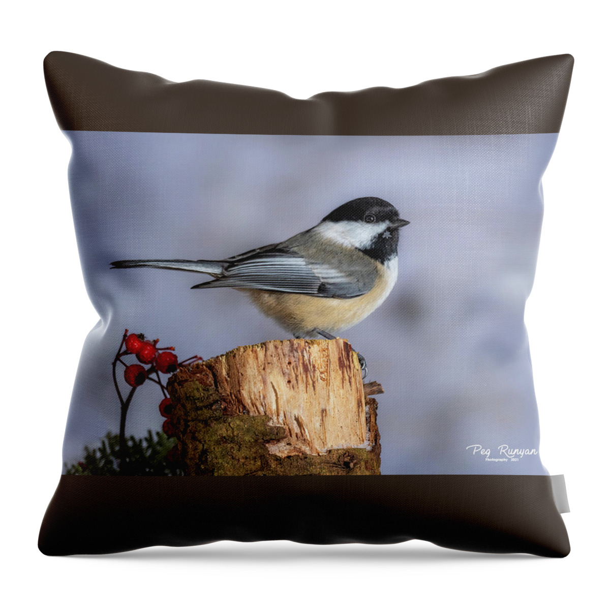 Bird In Winter Throw Pillow featuring the photograph Snowflake Necklace by Peg Runyan