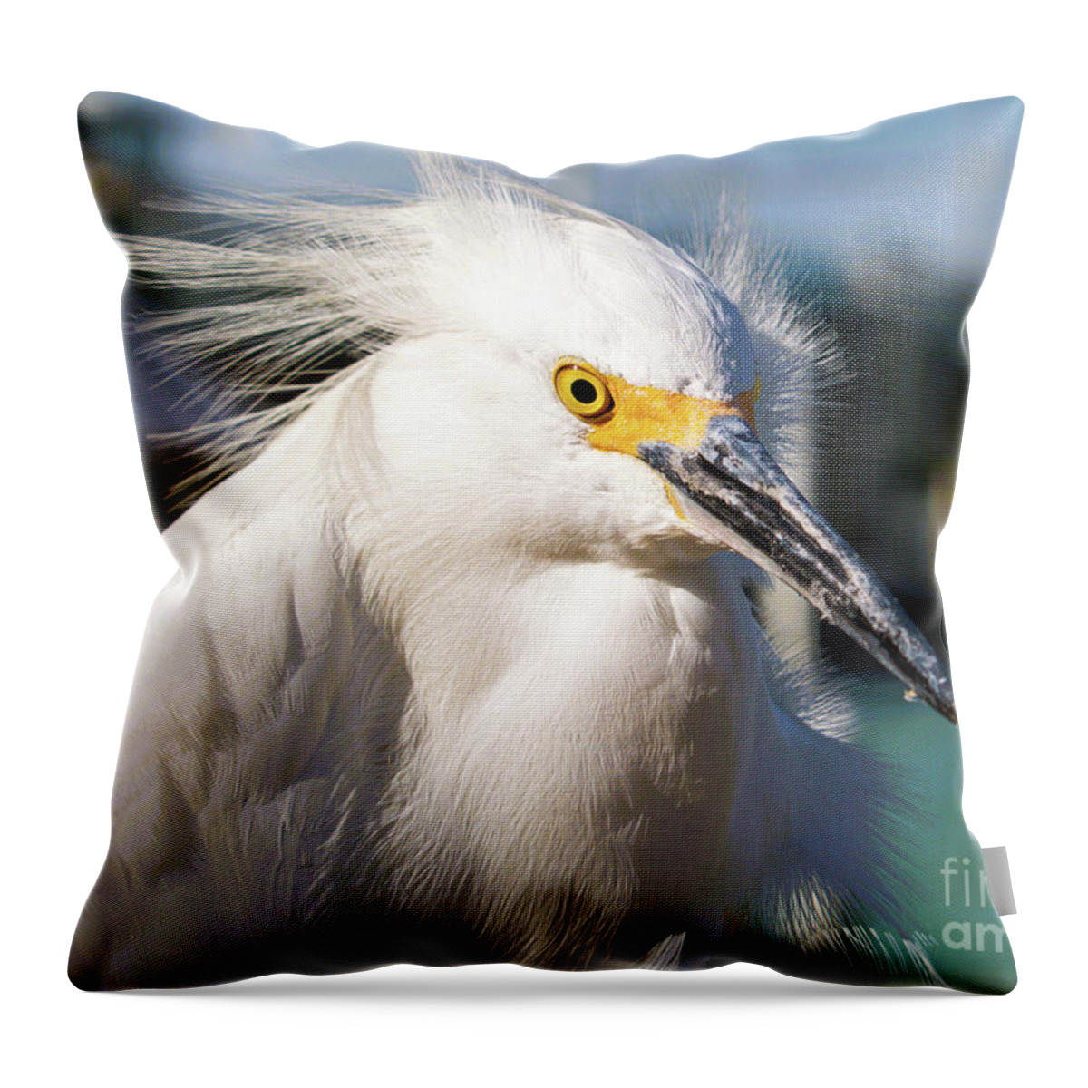 Snowy Egret Throw Pillow featuring the photograph Snowy at the Marina by Joanne Carey