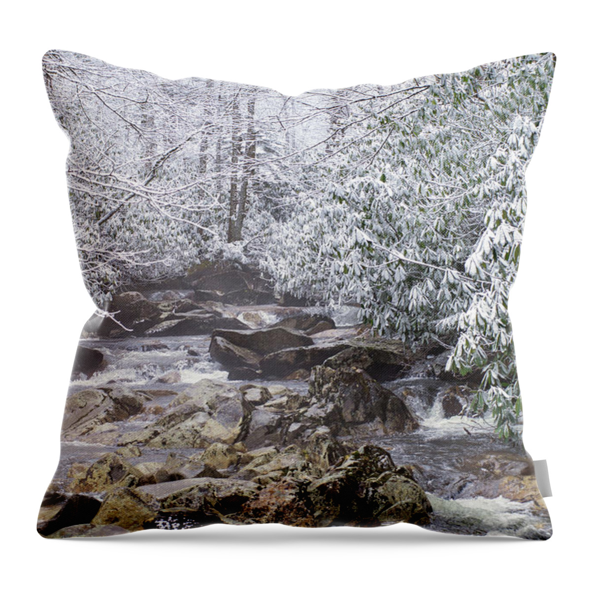 Great Smoky Mountains National Park Throw Pillow featuring the photograph Snowy Creek by Stacy Abbott