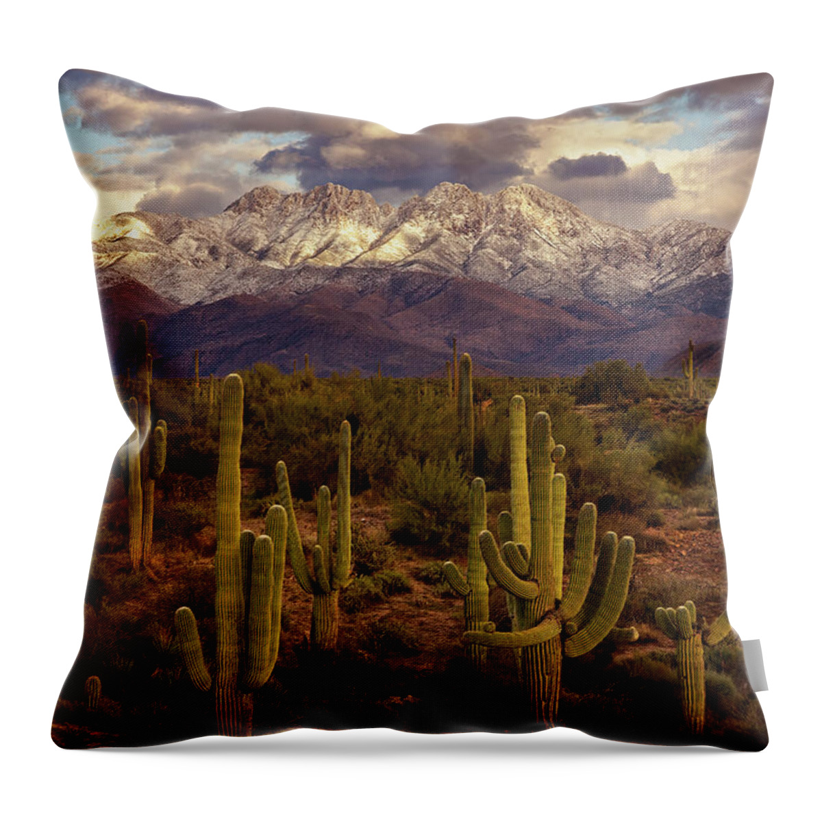 Art Throw Pillow featuring the photograph Snowy Dreams by Rick Furmanek