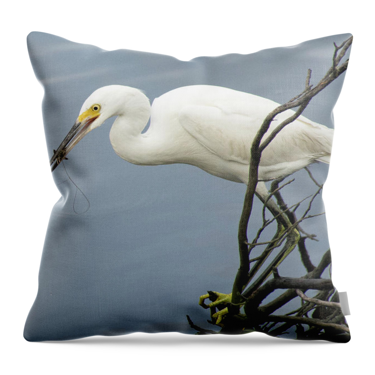 Birds Throw Pillow featuring the photograph Snowy Egret Enjoying a Shrimp Meal by Bruce Gourley