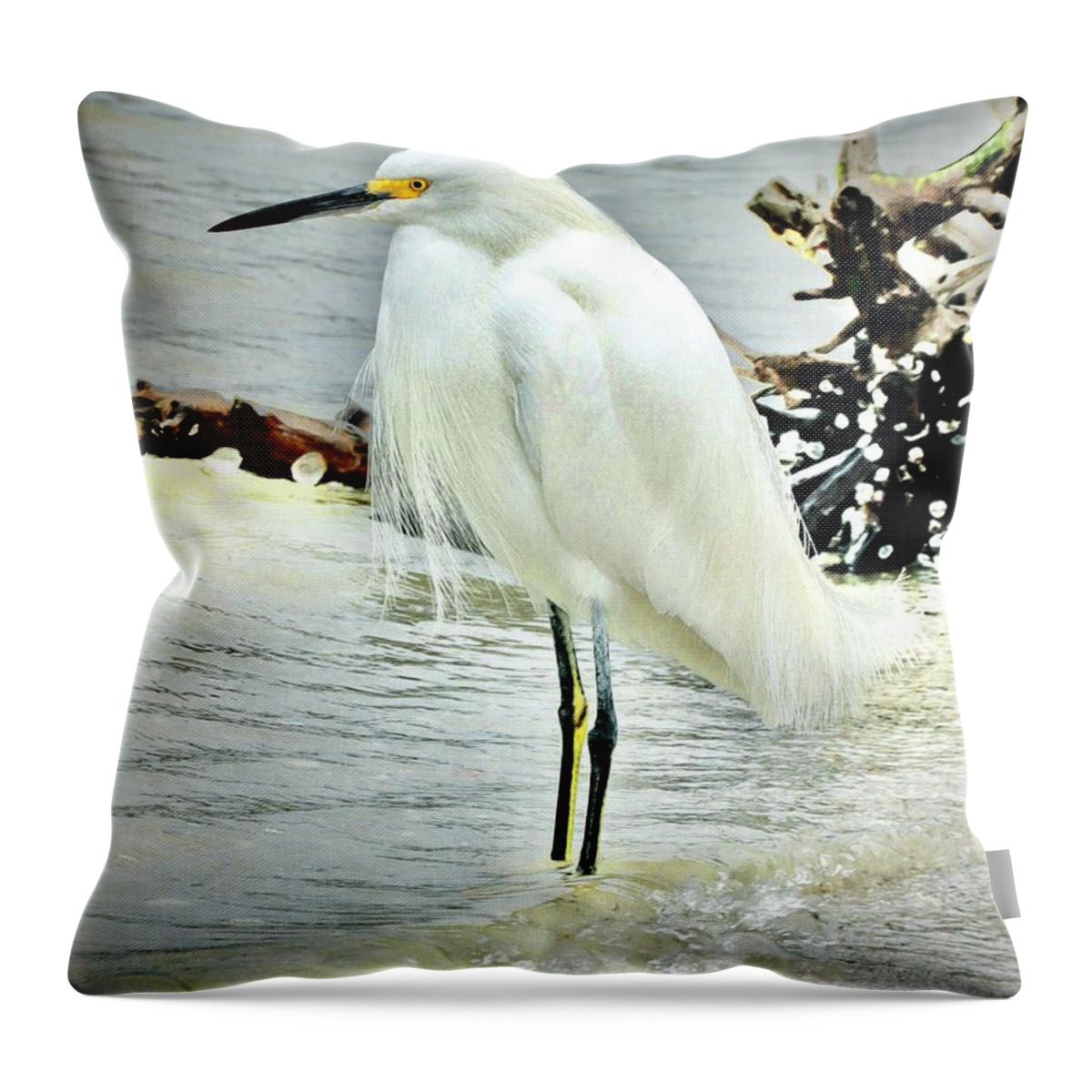 Snowy Throw Pillow featuring the photograph Snowy Egret Fishing by Sarah Lilja