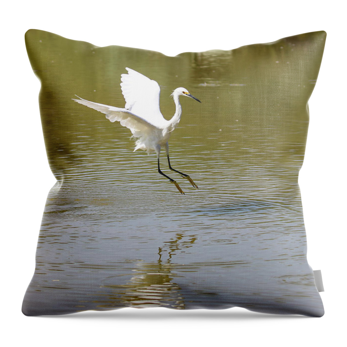 2020 Throw Pillow featuring the photograph Snowy Egret Landing by Dawn Richards