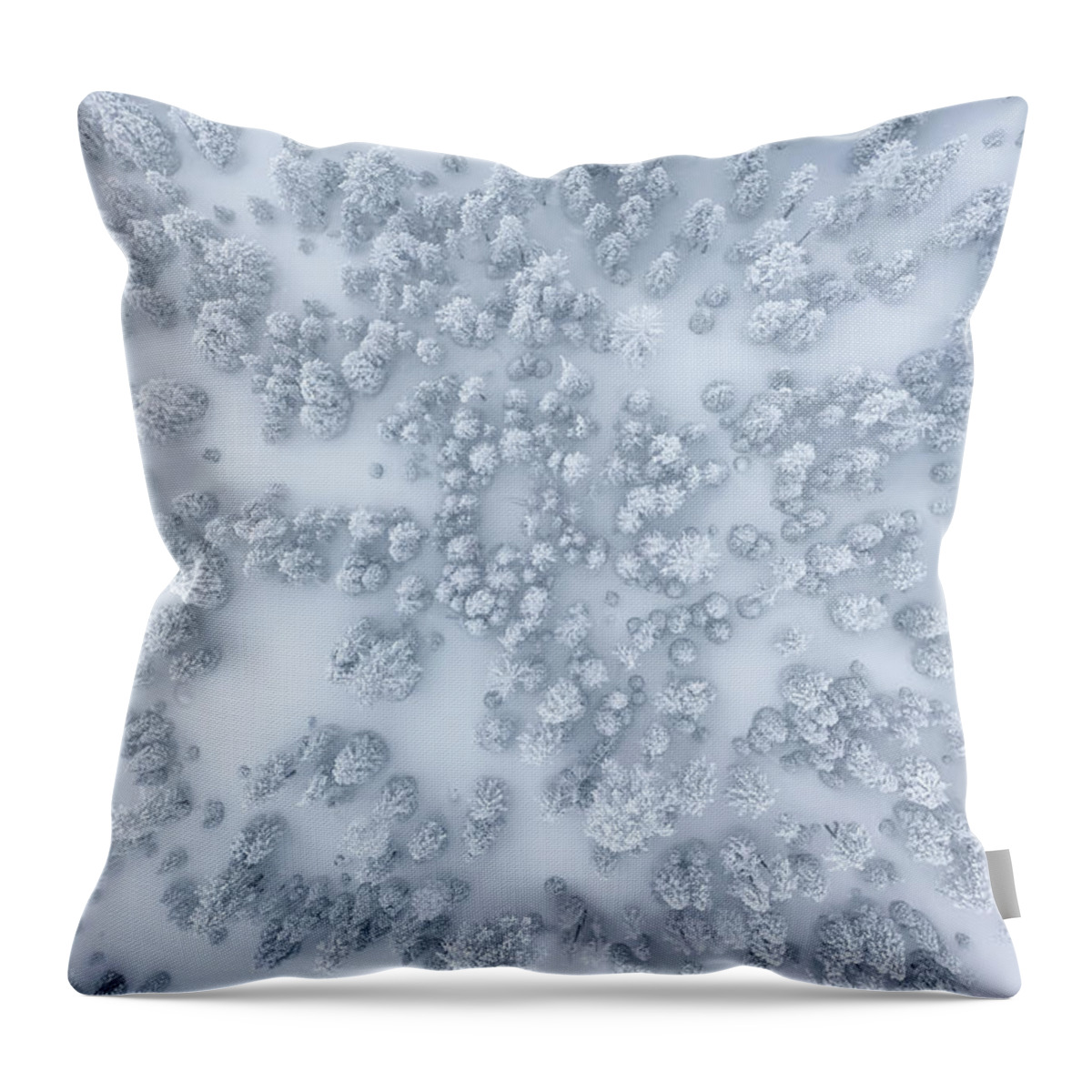 Aerial Throw Pillow featuring the photograph Snowy Forest by Steve Berkley