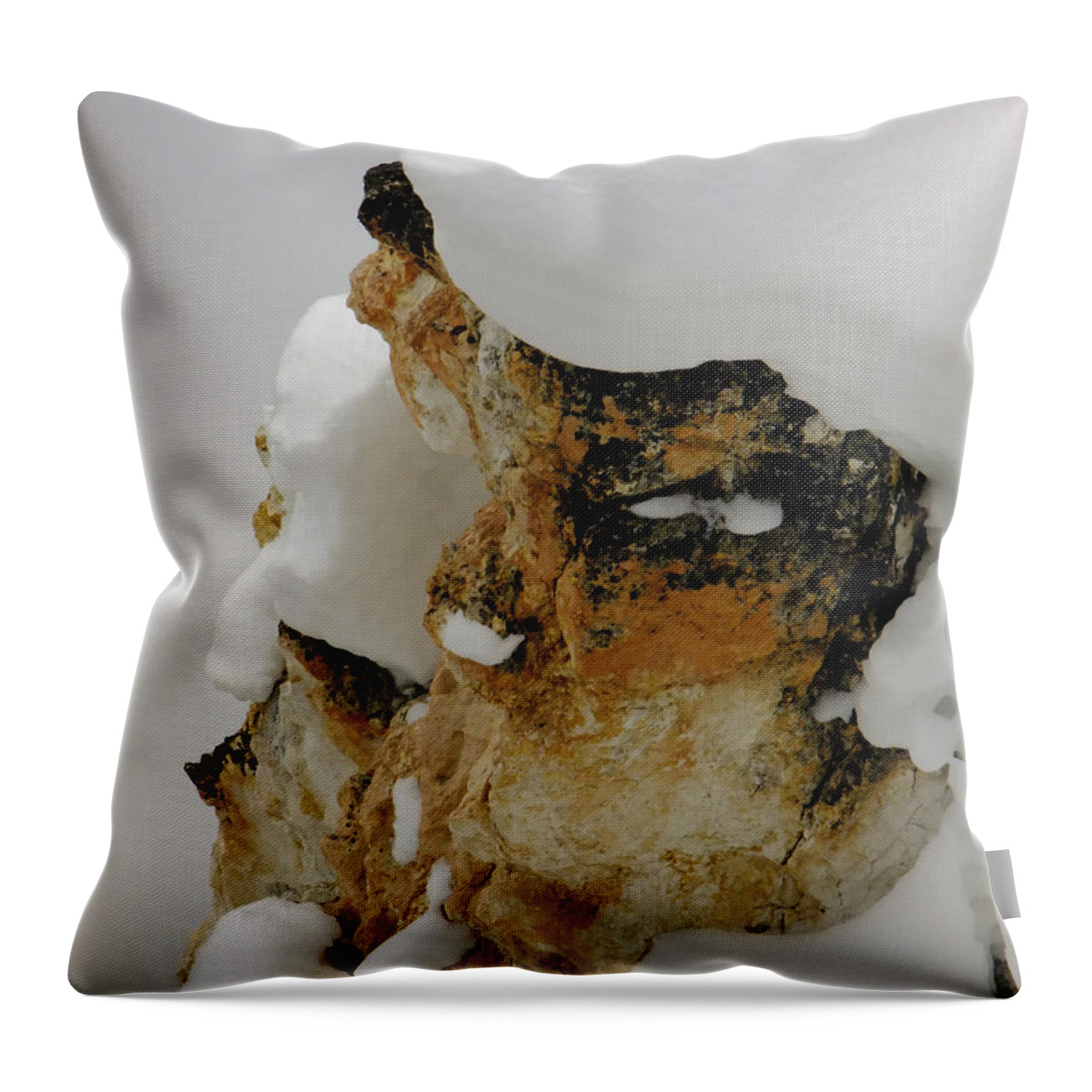 Rock Throw Pillow featuring the photograph Snowy Rock Face by Kae Cheatham