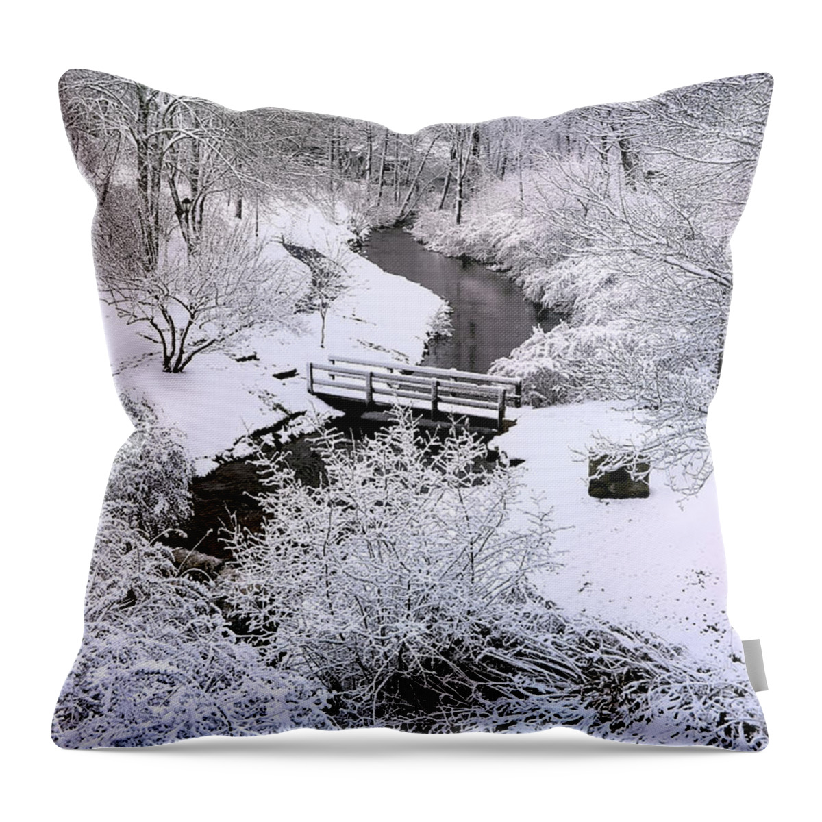 Town Brook Throw Pillow featuring the photograph Snowy Town Brook Plymouth by Janice Drew