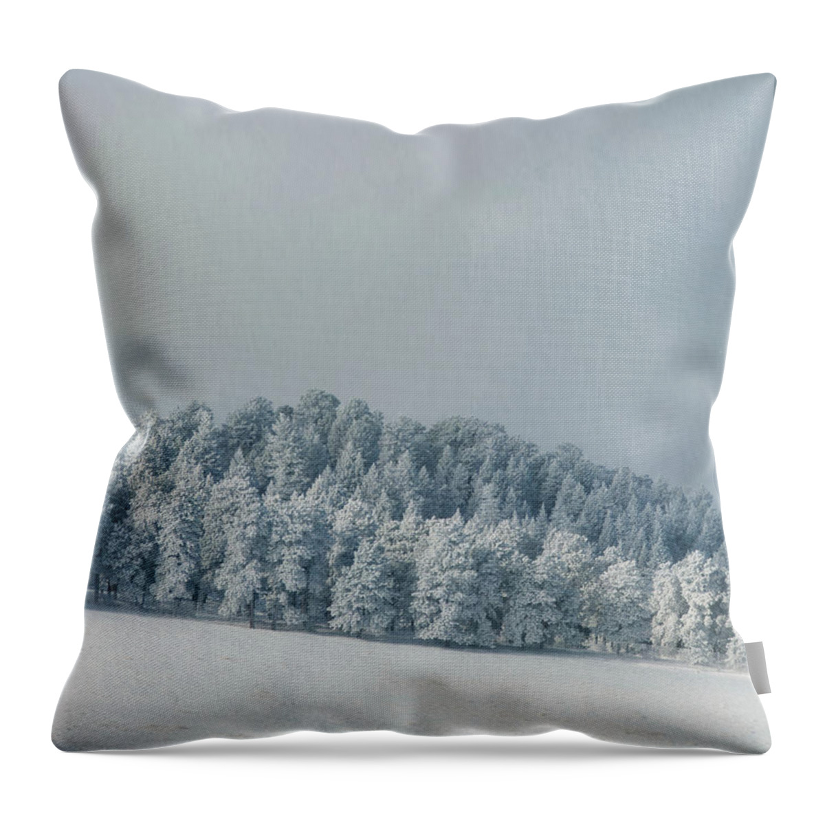 Snow Throw Pillow featuring the photograph Snowy Trees by Kevin Schwalbe