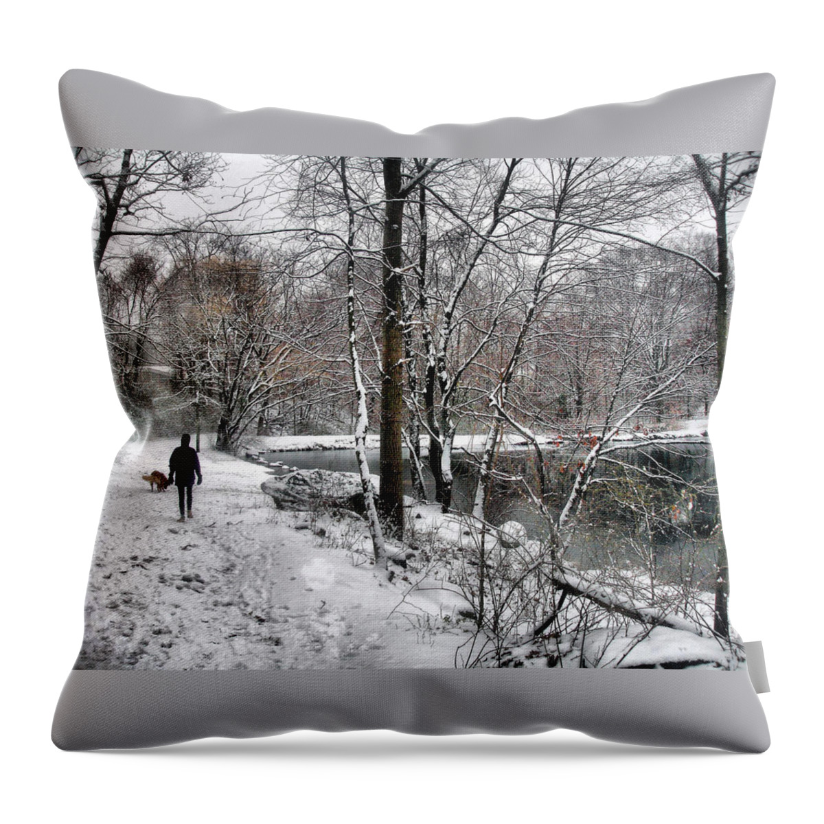Snow Throw Pillow featuring the photograph Snowy Walk by the Pond by Russel Considine
