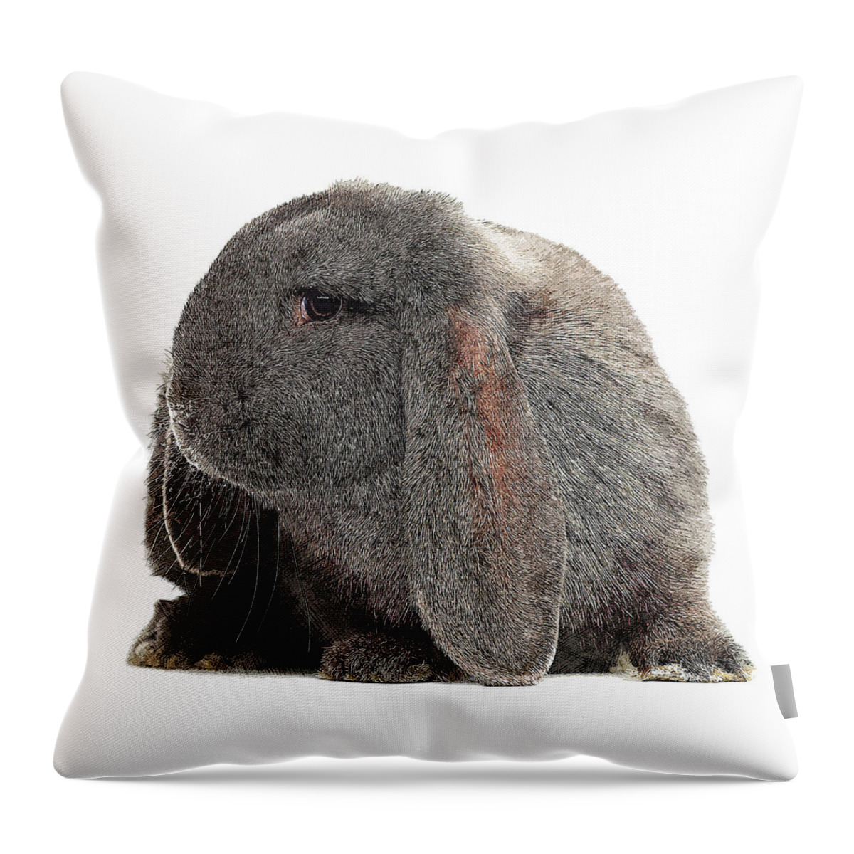 Black Throw Pillow featuring the painting So darn cute, French Lop Rabbit by Custom Pet Portrait Art Studio